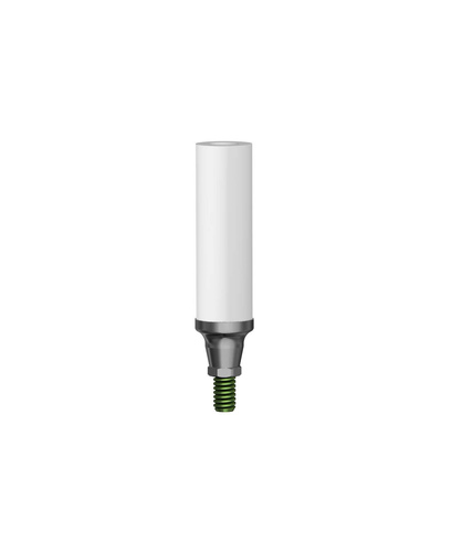 Casting Abutments CoCr - CS - фото №1